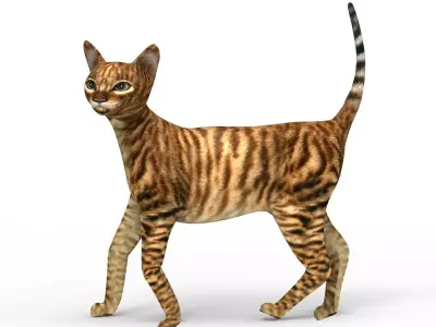 3D Cat Rigged model game ready  Low-poly 3D model