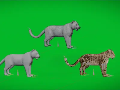 Snow Leopard Low-poly 3D model