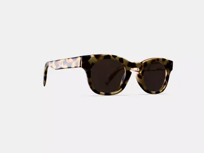 Kimball Sunglasses in Marzipan Tortoise 3D model