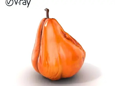 Dried Pear Realistic Model Pack Low-poly 3D model