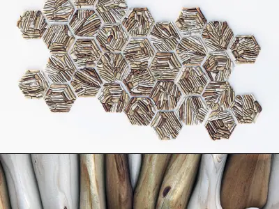 Hexagon panel branch splinter n2 3D model