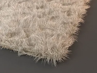 Rug Detailed 2 3D model