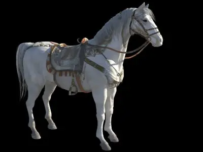 White horse 3D model buy