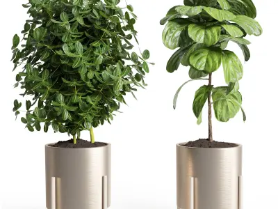 Indoor plnt 26- metal vase Low-poly 3D model