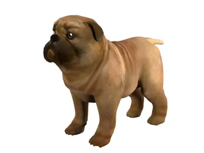 small dog bulldog  rig  high-poly  textured 3D model
