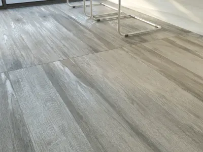 ARIANA LARIX Set 01 3D model