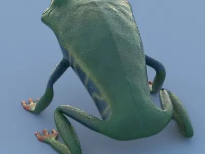 Red Eyed Tree Frog Low-poly 3D model