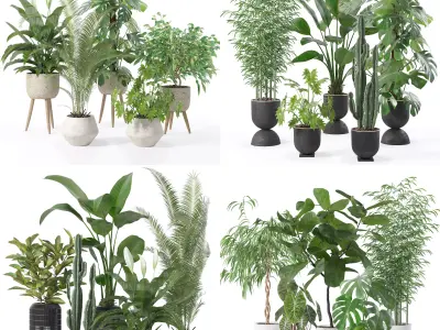 20 Photorealistic Flowers for Interiors - set 121 128 134 141 3D Model Collection