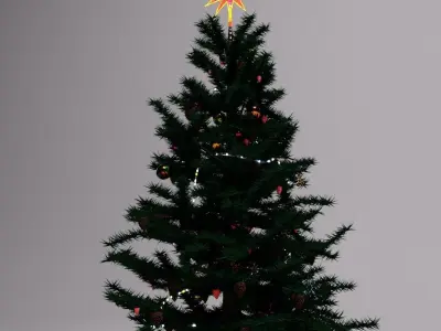 Christmas  new near pack 3D model