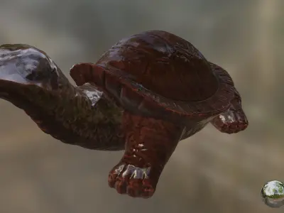 Turtle 01 3D model