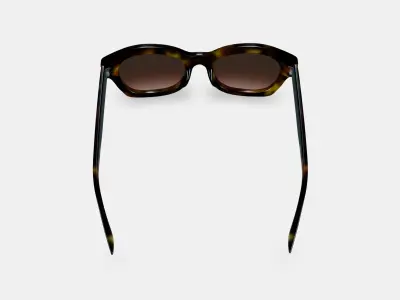Gael Sunglasses in Cognac Tortoise 3D model