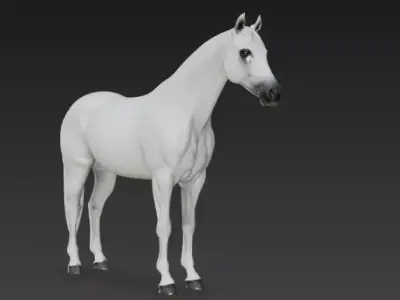 White Horse 3d model 3D model