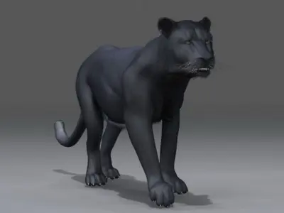 Panther 3D model
