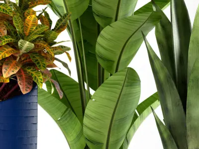 plants set 138 3D model