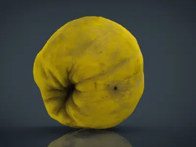 Grapefruit potato Low-poly 3D model