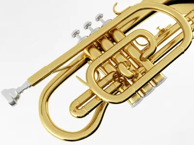 Cornet gold trumpet 3D model
