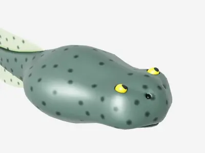Life Cycle of a Frog Low-poly 3D model