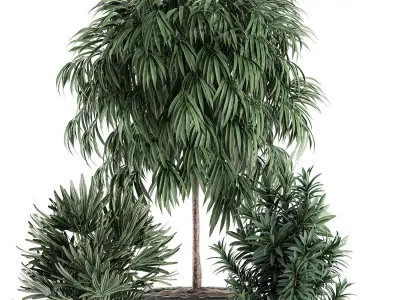 Decorative plants in a black flowerpot 577 3D model