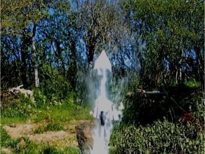 WATER ROCKET 3D print model