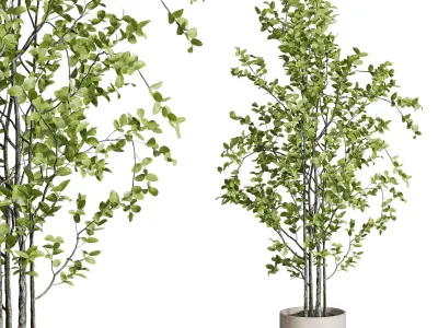 branch Tree in a concrete dirty vase set indoor plant 392 Low-poly 3D model