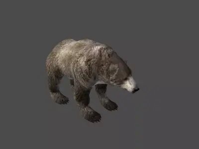 Next Gen AAA Black Grizzly Bear - game model Low-poly 3D model
