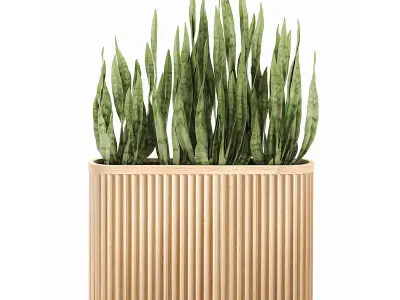 Decorative plants in a bamboo flowerpots 799 3D model