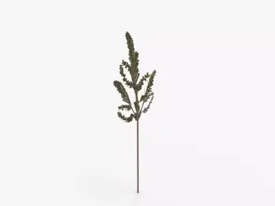 Faux Cedar Branch 3D model