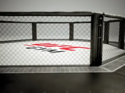 UFC MMA Ring Octogone 3D Model 3D model