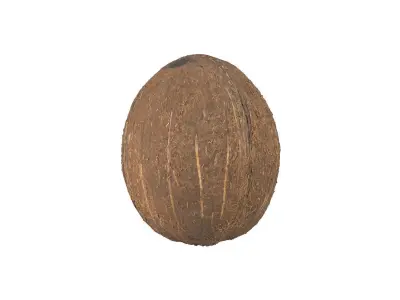 Photorealistic Coconut 3D Scan 3D model