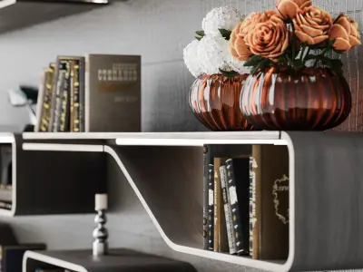 REFLEX Bookcase SEGNO LIBRERIA  3D model