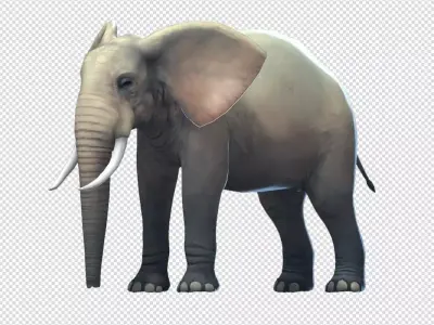 Elephas elephant Low-poly 3D model