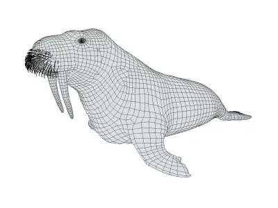 Walrus Low-poly 3D model