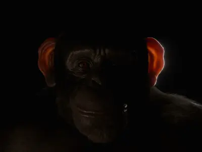 Realistic Ape  Rigged 3D Character For Blender Low-poly 3D model