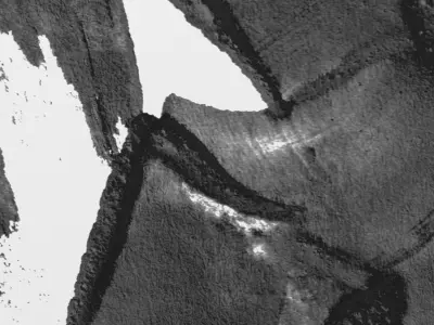 GS -659 Painting for printing 3D model