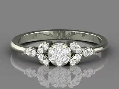 PRESSURE SETTING RING 25 3D print model