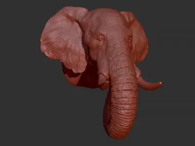 Elephant head 3D print model buy