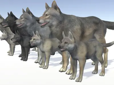 WOLF FAMILY Low-poly 3D model