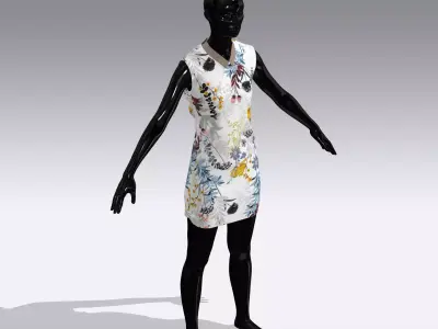 Woman Cloth Dress Low-poly 3D model