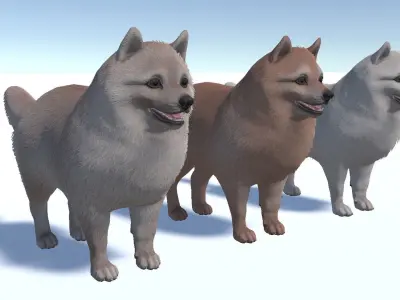 Dog - Pomeranian Spitz Low-poly 3D model