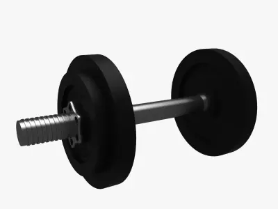 Dumbbell wheel with screw 3D model