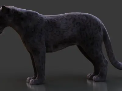 Black Jaguar ANIMATED Xgen core 3D model