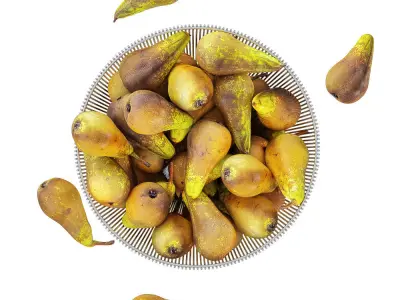 Pear Conference in Decorative Metal Vase 3D model