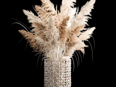 Bouquet of dry reeds in a white wicker basket for decoration 256 3D model