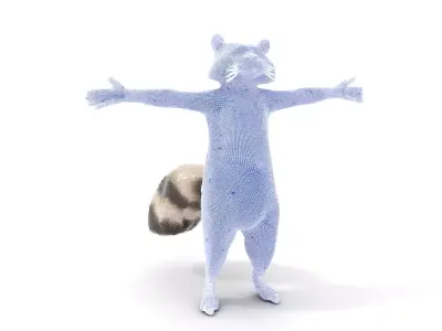 Lifelike Raccoon model pack Low-poly 3D model