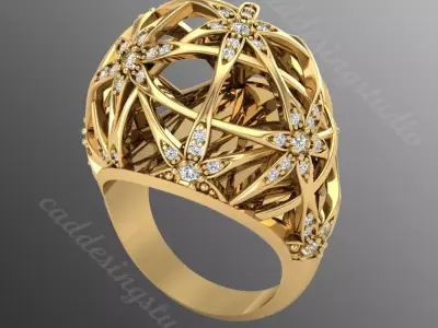 Ring bi 64 3D print model