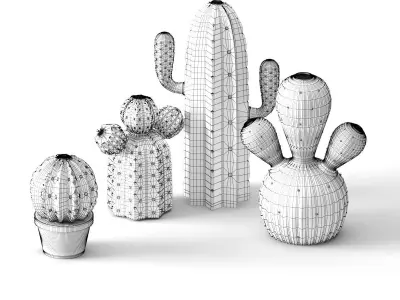 Cactus Vase 3D model