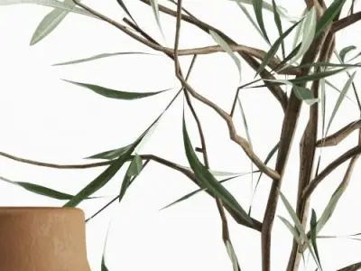 Vases set by H M with olive and rosmarinus branch 3D model