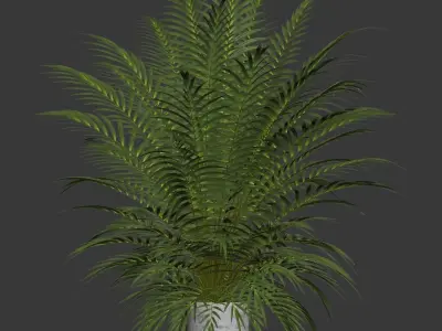 Palm tree in concrete pot 3D model