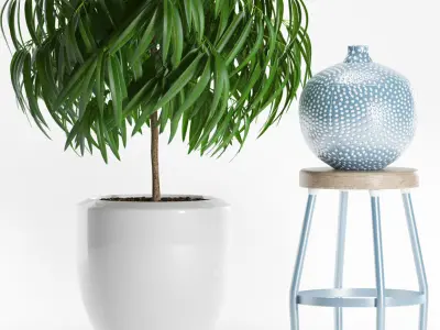 plants set 153 3D model