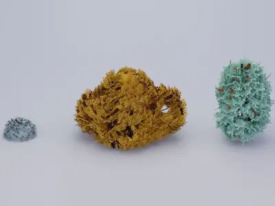 Stylized nature asset with trees bushes and grass Low-poly 3D model